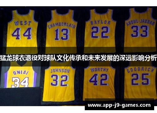 猛龙球衣退役对球队文化传承和未来发展的深远影响分析