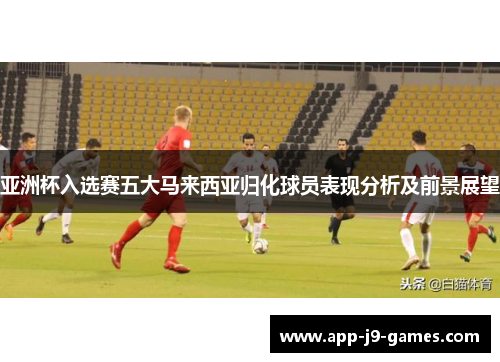 亚洲杯入选赛五大马来西亚归化球员表现分析及前景展望