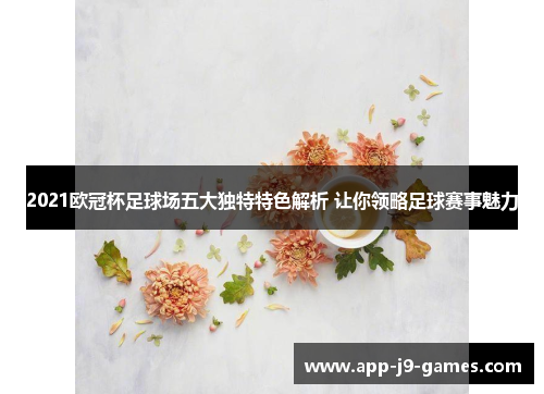 2021欧冠杯足球场五大独特特色解析 让你领略足球赛事魅力