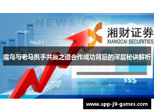 魔鸟与老马携手共赢之道合作成功背后的深层秘诀解析
