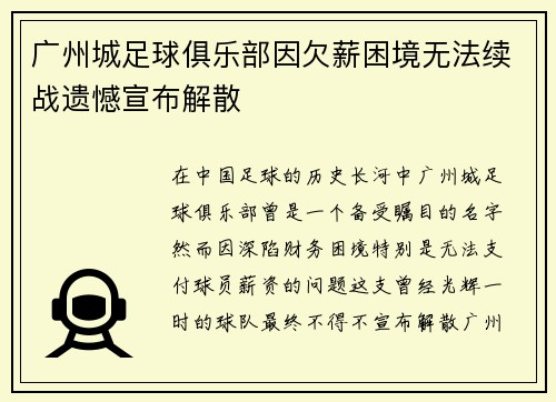 广州城足球俱乐部因欠薪困境无法续战遗憾宣布解散